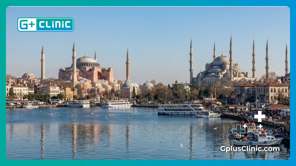 Панорамный вид на Айя-Софию и Голубую мечеть в Стамбуле.