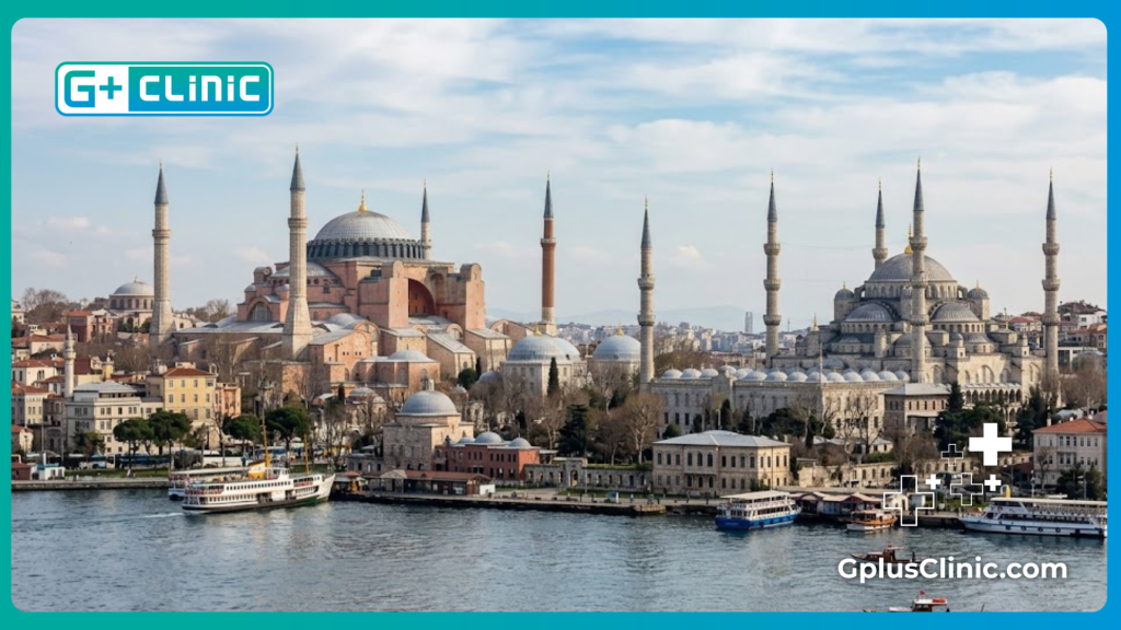 Vue panoramique de la magnifique ligne d'horizon d'Istanbul et de la Corne d'Or.