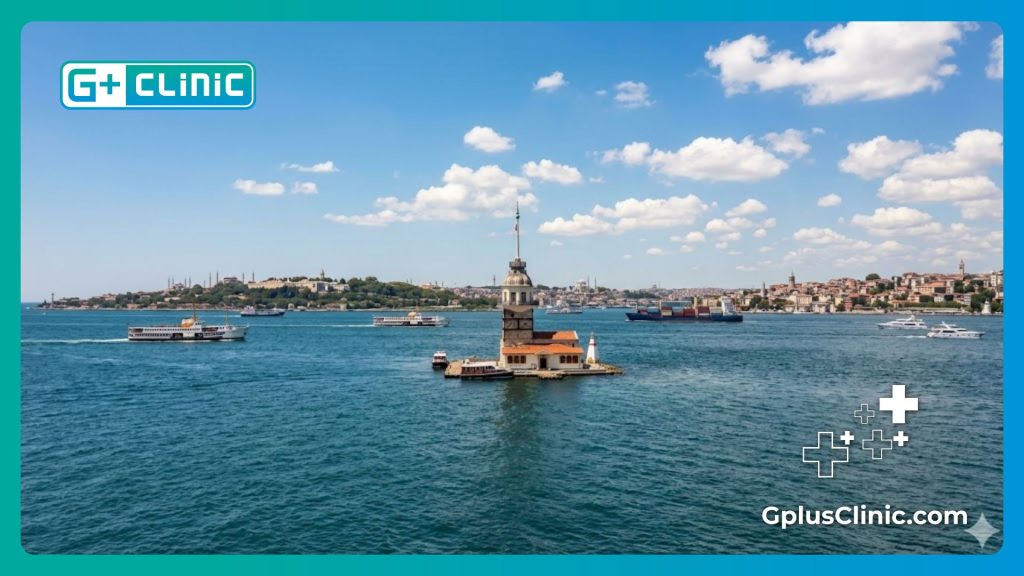 Doctor welcoming international patient with beautiful Istanbul landscape