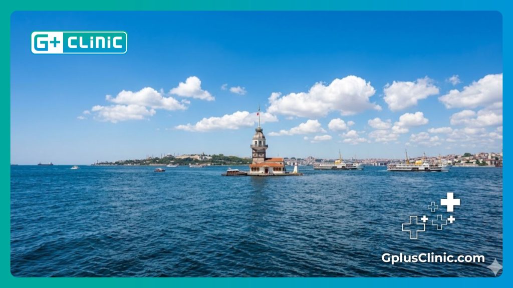 Vista del Bósforo en Estambul