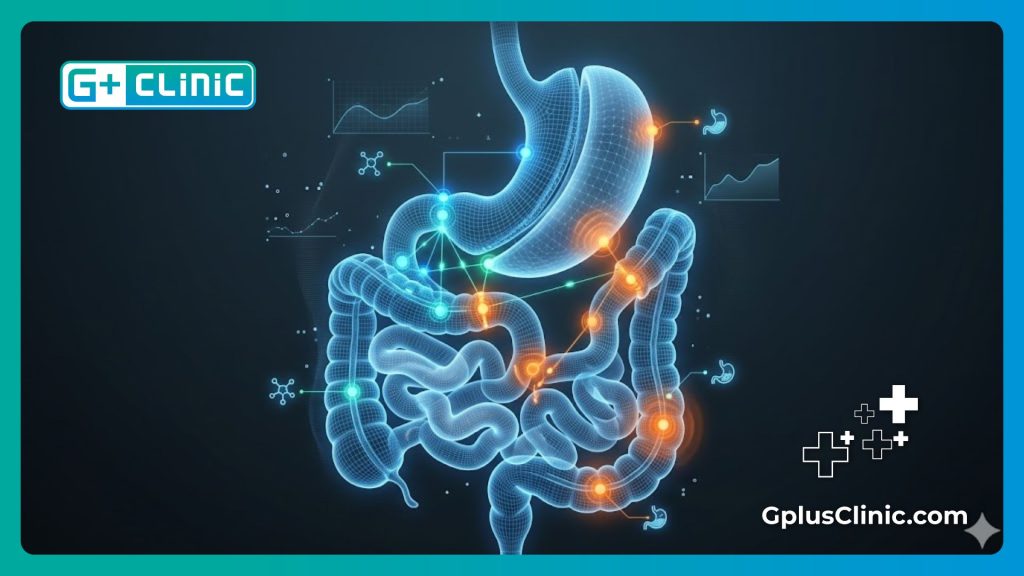 High-tech digital mesh visualization focusing on stomach anatomy and surgical safety zones