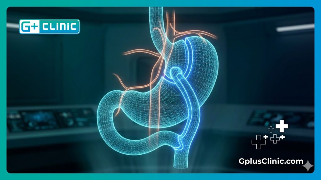 فحص رقمي ثلاثي الأبعاد يوضح تشريح المعدة لضمان الأمان الطبي.
