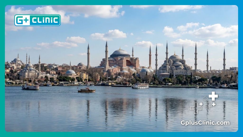 Paisaje icónico de Estambul con el Cuerno de Oro y la arquitectura histórica
