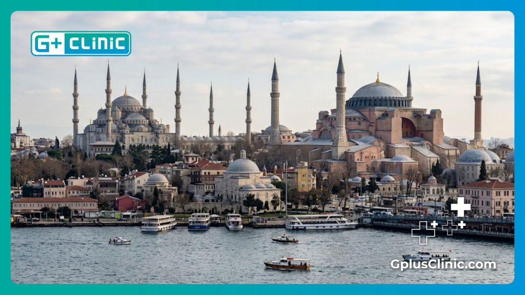 Vista panorámica de Santa Sofía y la Mezquita Azul en Estambul durante un día soleado.